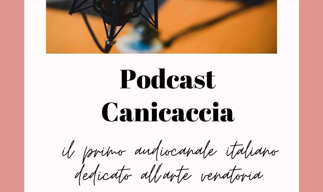 audio canale canicaccia